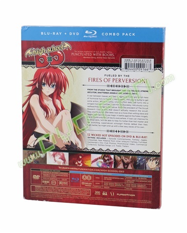 High School DxD: The Series [Blu-ray]