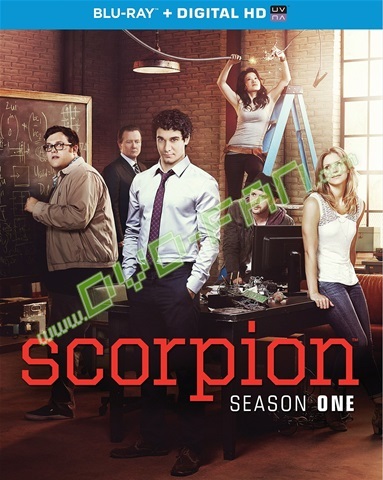 Scorpion Season 1 [Blu-ray]