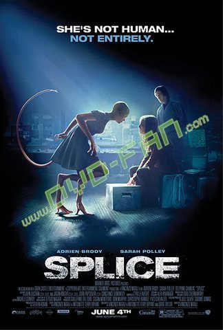 Splice