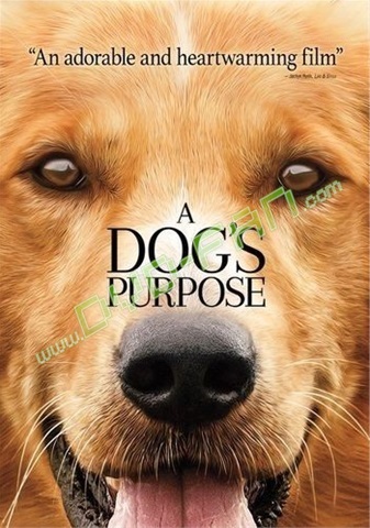 A Dog's Purpose