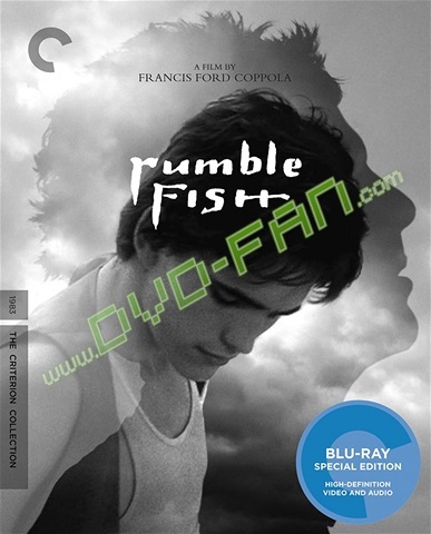 Rumble Fish: The Criterion Collection