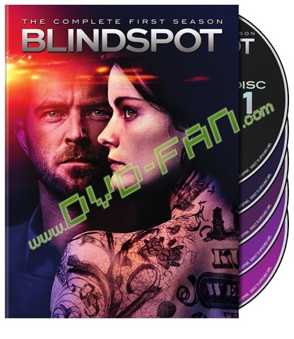 Blindspot Season 1