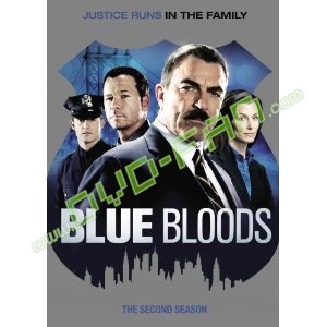 Blue Bloods Season 2 dvd wholesale