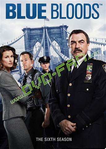 Blue Bloods Season 6