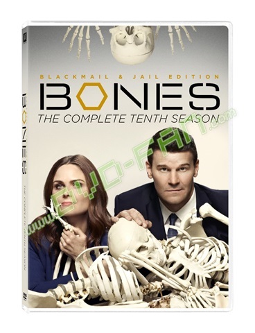 Bones Season 10 dvd wholesale China