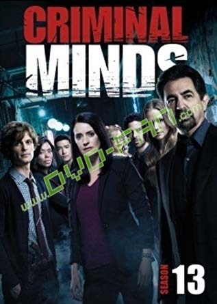 Criminal Minds: The Thirteenth Season dvds