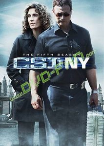 CSI NY season 5