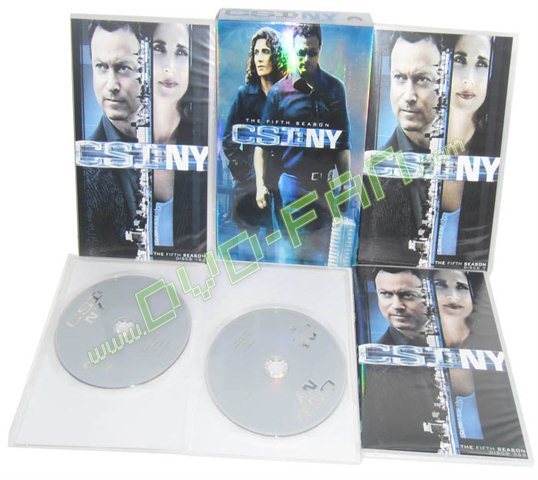 CSI NY season 5