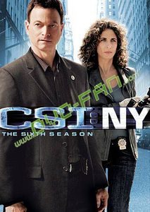 CSI: NY  The Sixth Season