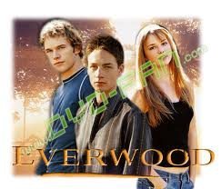 Everwood Season 1-4