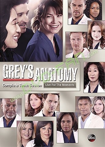 Grey's Anatomy Season 10