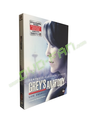 Grey's Anatomy Season 11 dvd wholesale China