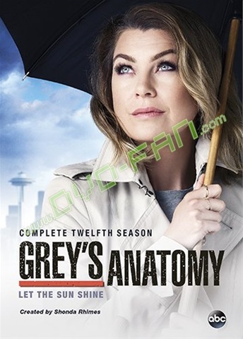 Grey's Anatomy Season 12