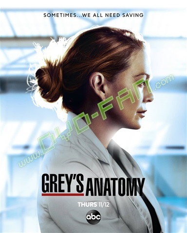 Grey's Anatomy Season 17