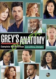 Grey's Anatomy season 9 dvd wholesale