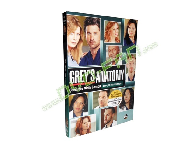 Grey's Anatomy season 9 dvd wholesale