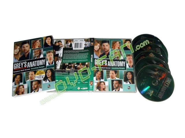 Grey's Anatomy season 9 dvd wholesale