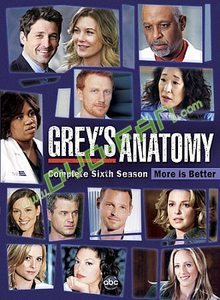 Grey's Anatomy The Complete Season 6