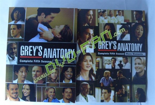 Greys Anatomy season 5