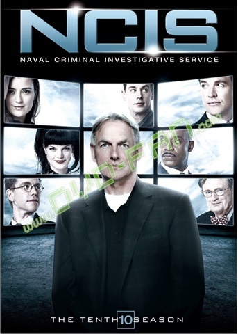 UK version NCIS Tenth Season 10 dvd wholesale