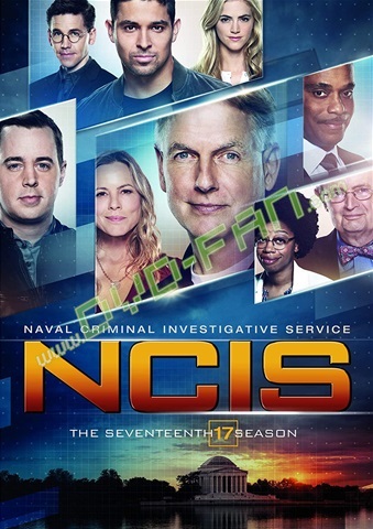 NCIS17 Naval Criminal Investigative Service Season 17 DVD