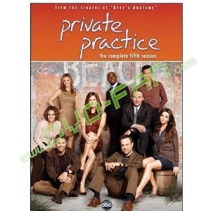 Private Practice Season 5 wholesale tv shows