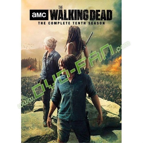 The Walking Dead: Season 10 (DVD)