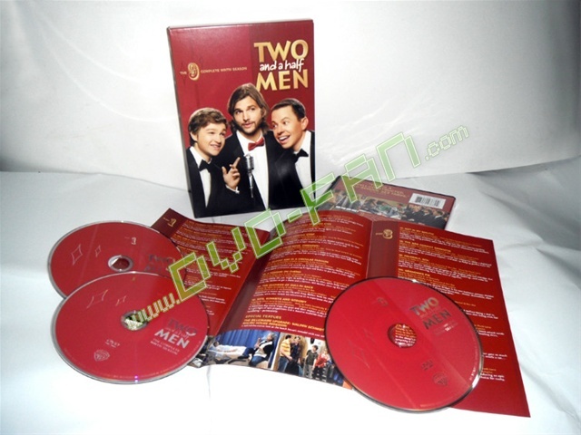 Two and a Half Men Season 9 dvd wholesale