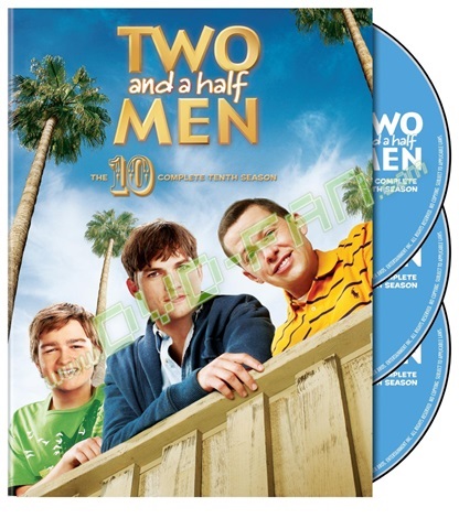 Two and a Half Men Tenth Season dvd wholesale