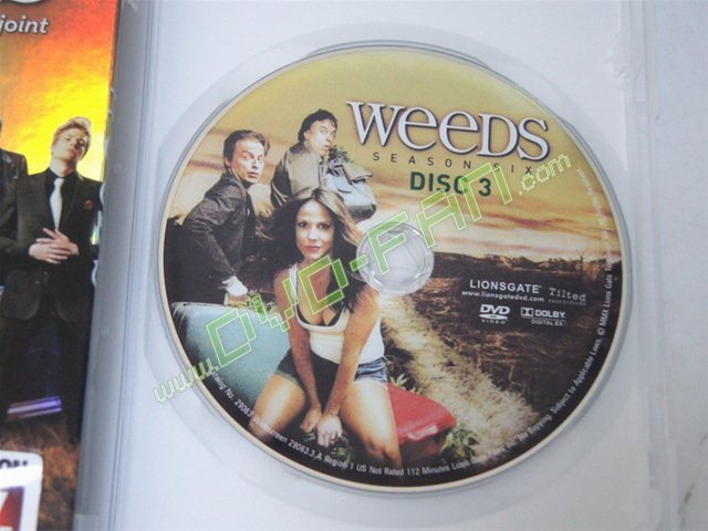 Weeds season 6