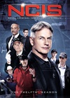Naval Criminal Investigative Service season 12 [Blu Ray]