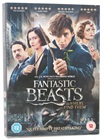 Fantastic Beasts and Where to Find Them