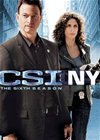 csi--ny--the-sixth-season