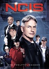 NCIS Season 12 dvd whoelsale China