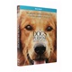 A Dog's Purpose