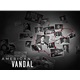 American Vandal