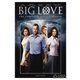 Big Love season 4