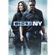 CSI NY season 5